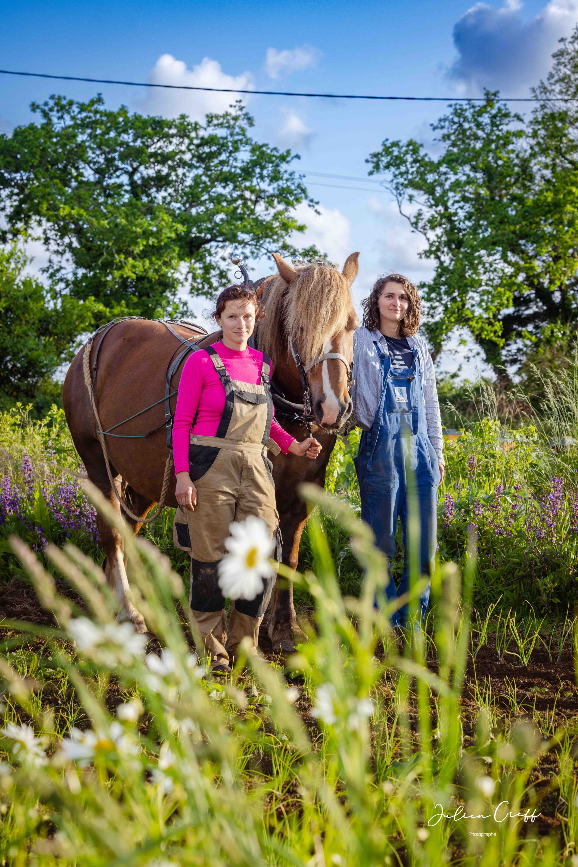 portrait professionnel