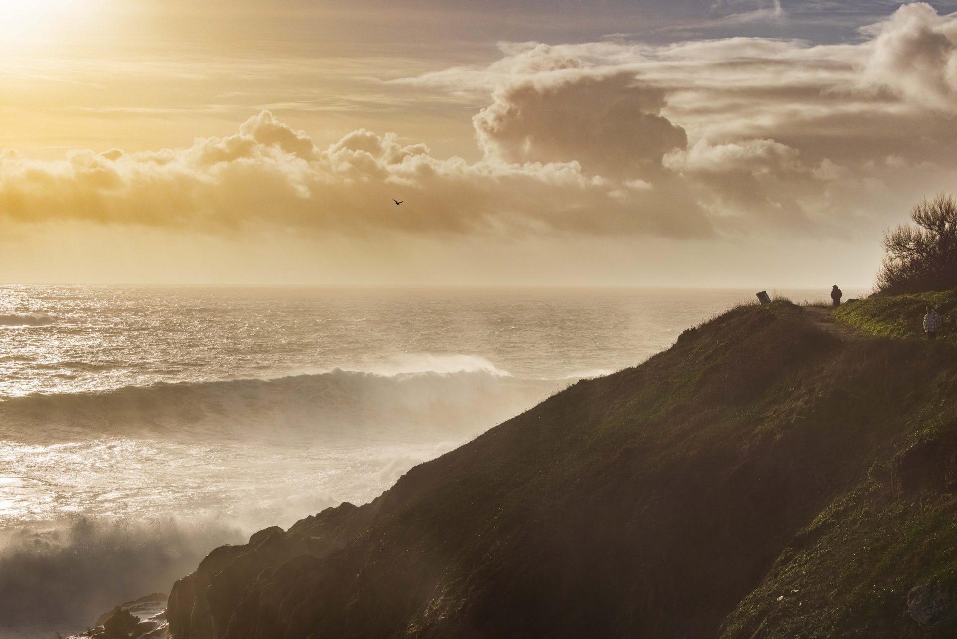 Photography landscape